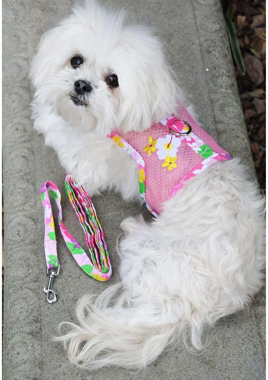 Cool Mesh Dog Harness with Leash Pink Hawaiian Floral