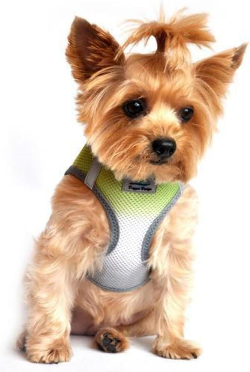 American River Dog Harness Ombre Collection - Raspberry Sundae