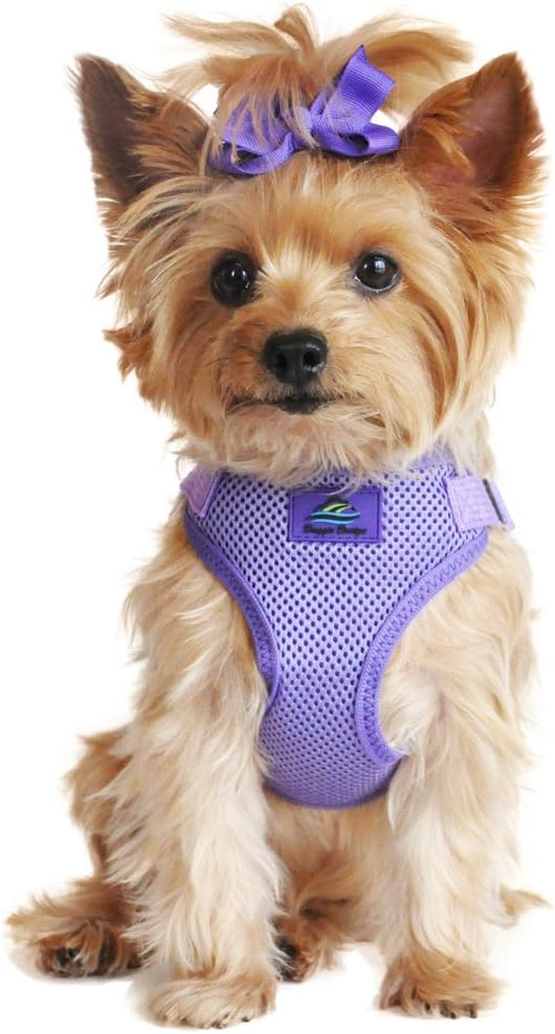 Wrap and Snap Choke Free Dog Harness