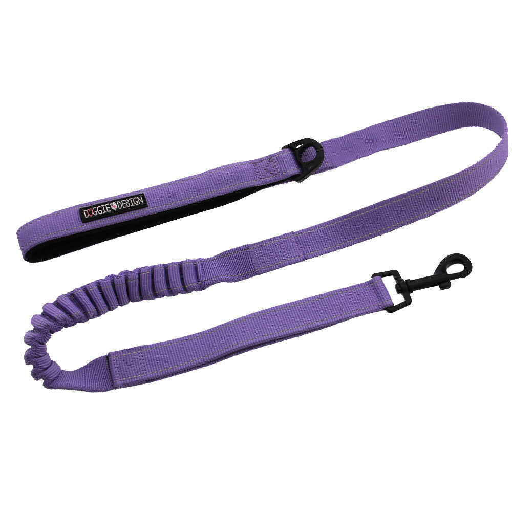 Soft Pull Traffic Dog Leash Doggie Design Purple