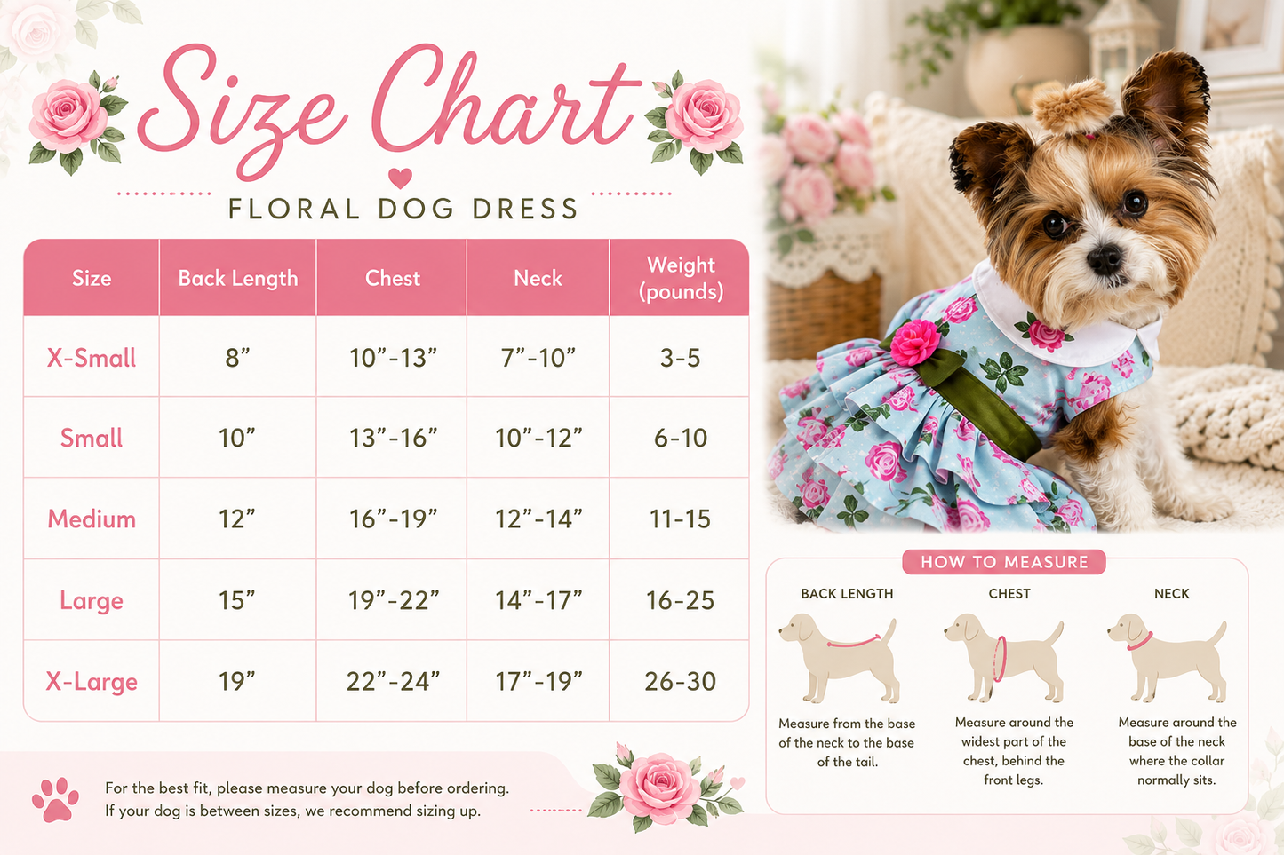 Pink Rose Harness Dress with Matching Leash