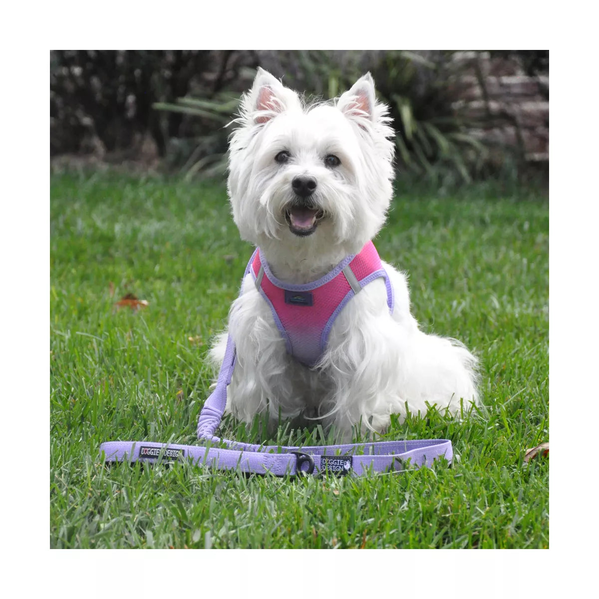 Doggie Design Soft Pull Traffic Dog Leash - Black
