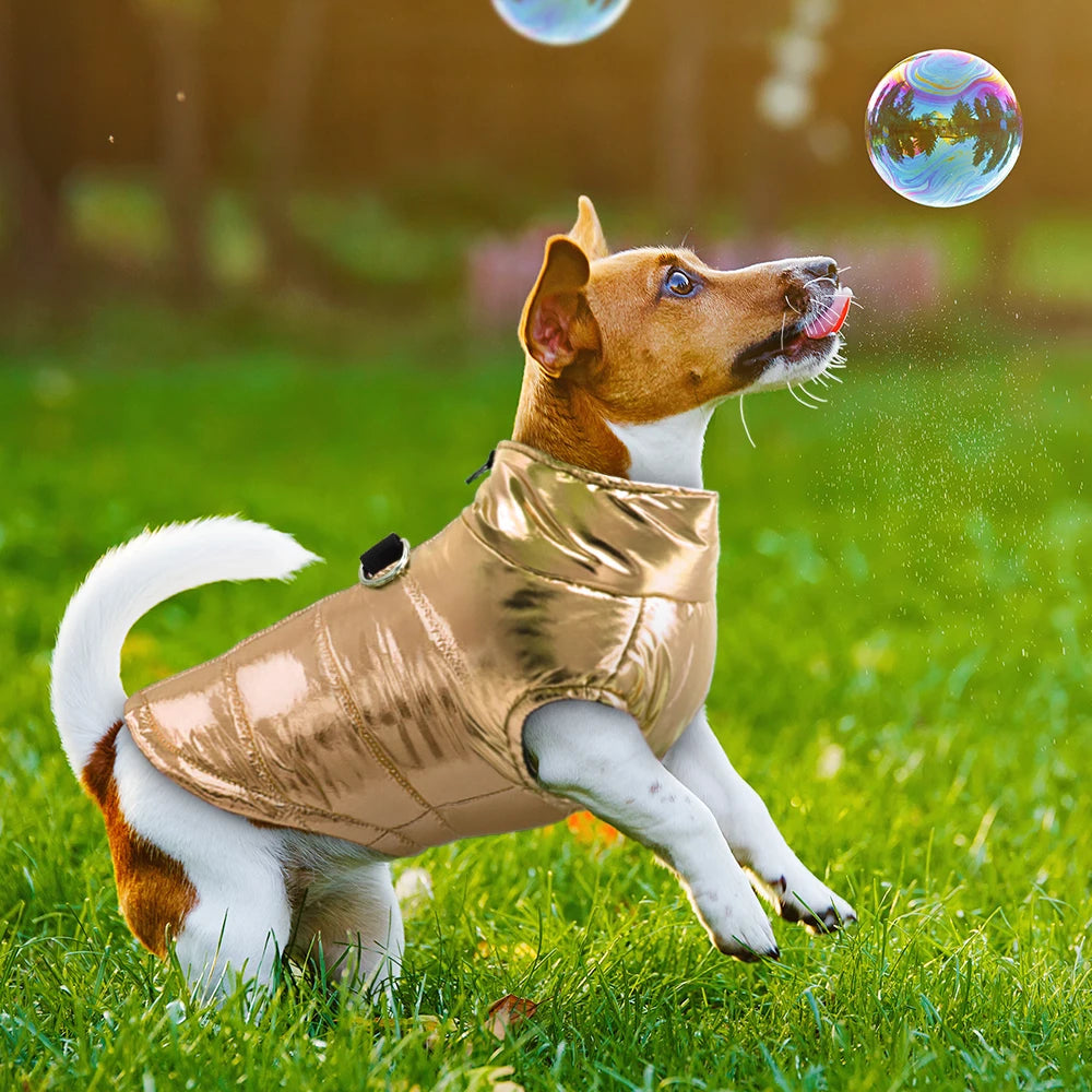 https://ae-pic-a1.aliexpress-media.com/kf/He20390e3c13847d6b8767693cc2d0647H.jpg