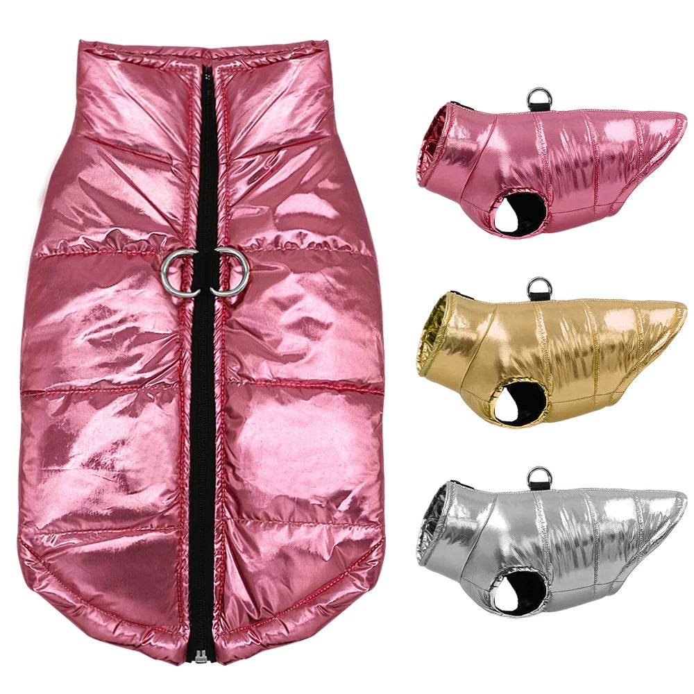 https://ae-pic-a1.aliexpress-media.com/kf/S1fc49a11e61a4f79b219f736ec819986e.jpg