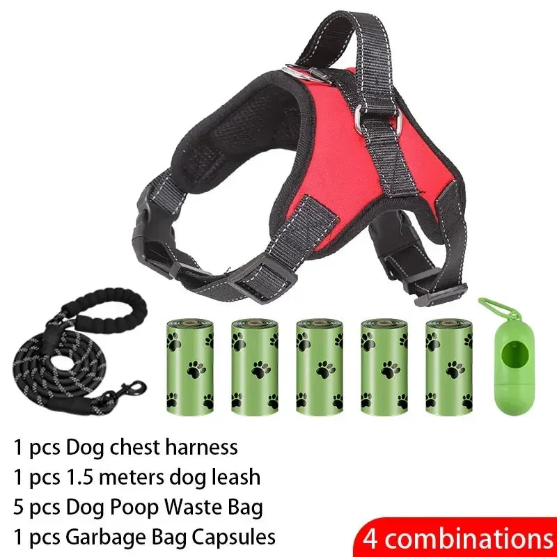 Dog training kit with chest harness, leash, waste bags, and capsules on a white background