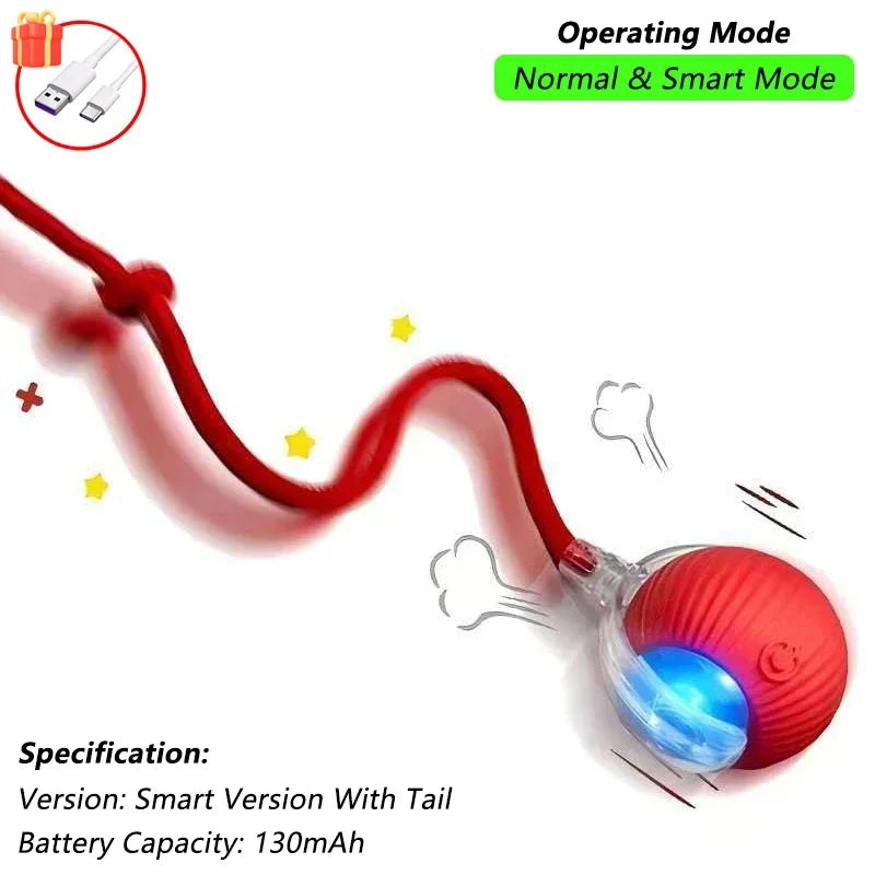 Interactive Rolling Ball Cat Toy with Tail – USB Rechargeable