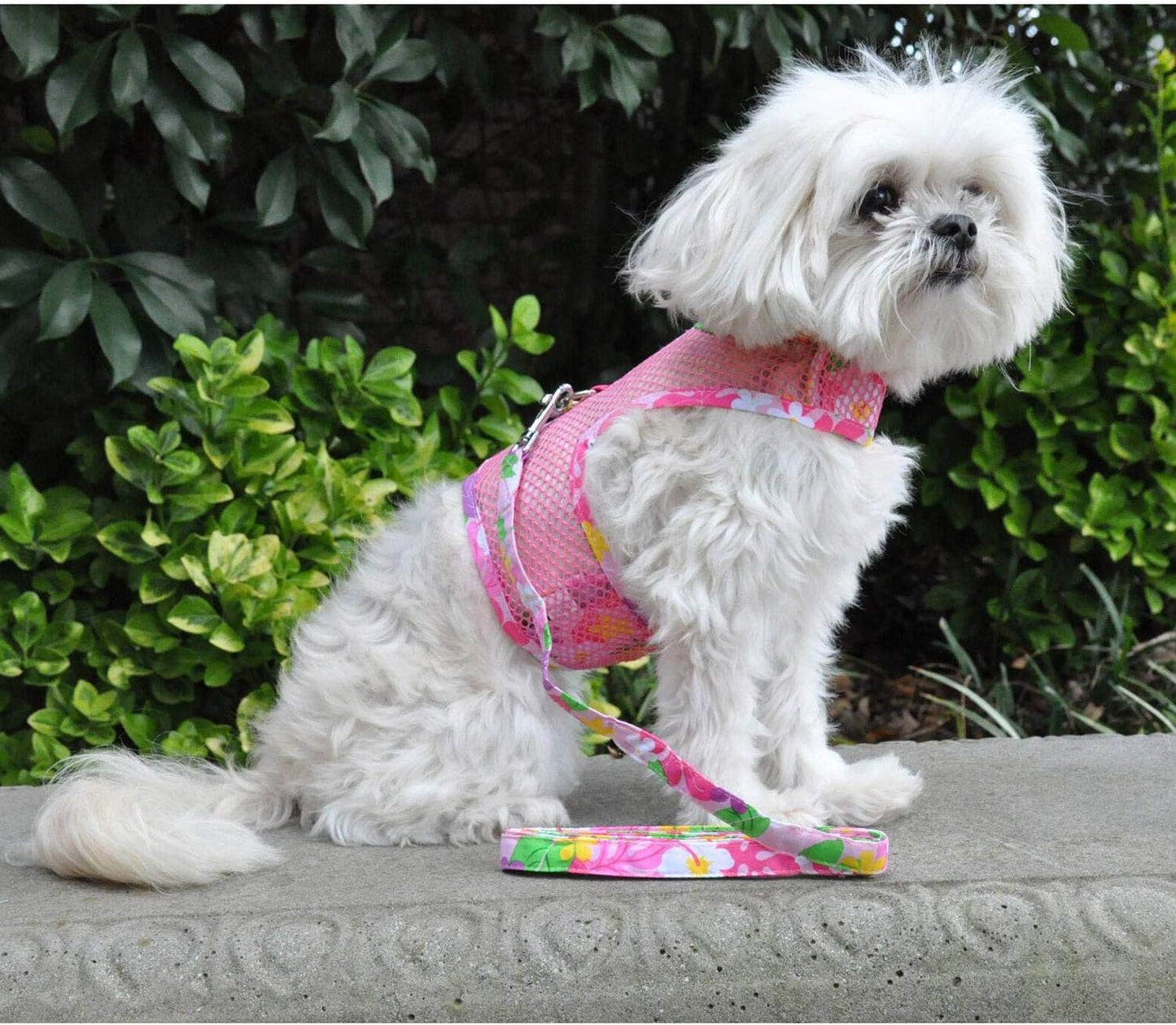Cool Mesh Dog Harness with Leash Pink Hawaiian Floral