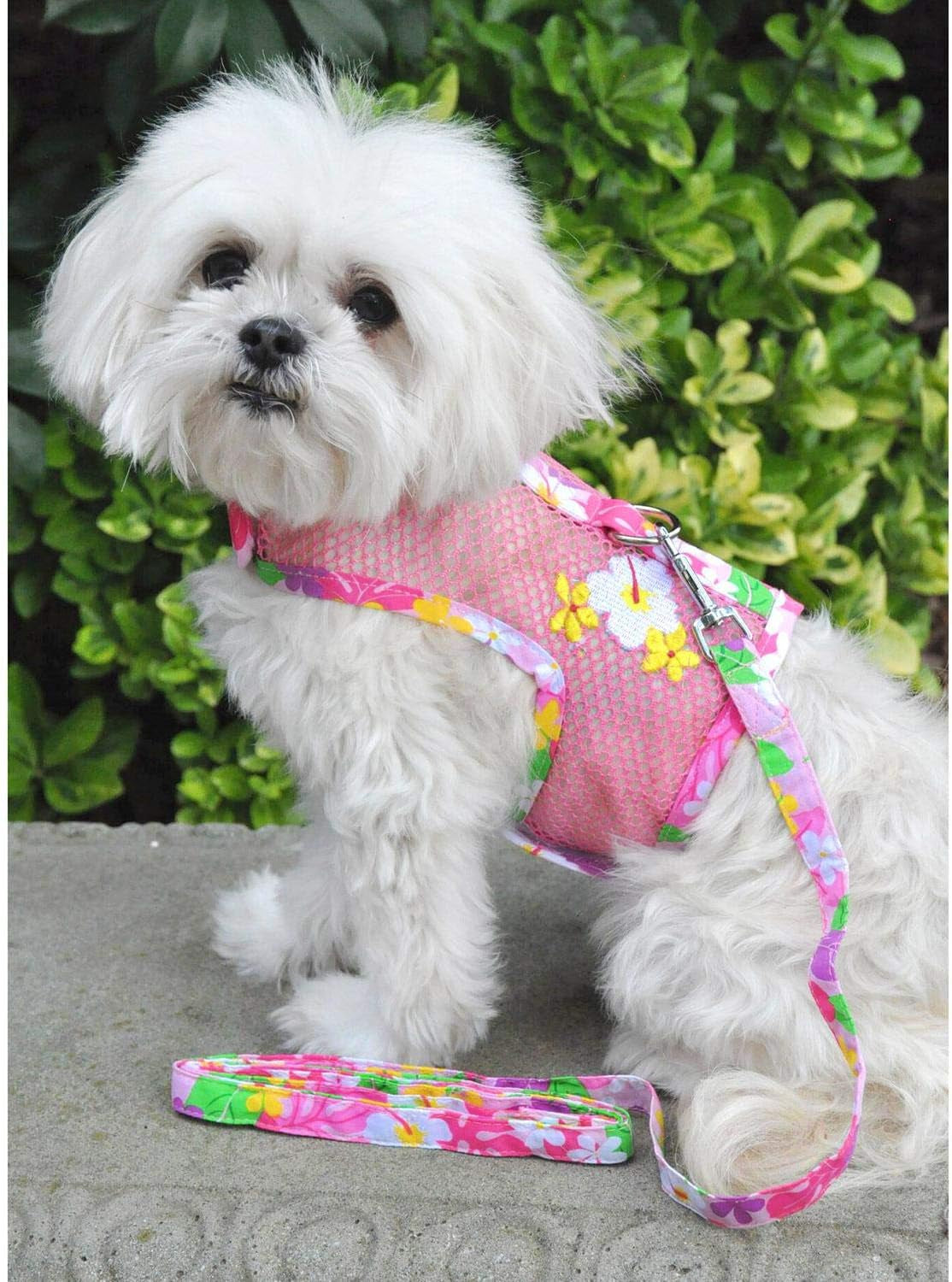 Cool Mesh Dog Harness with Leash Pink Hawaiian Floral