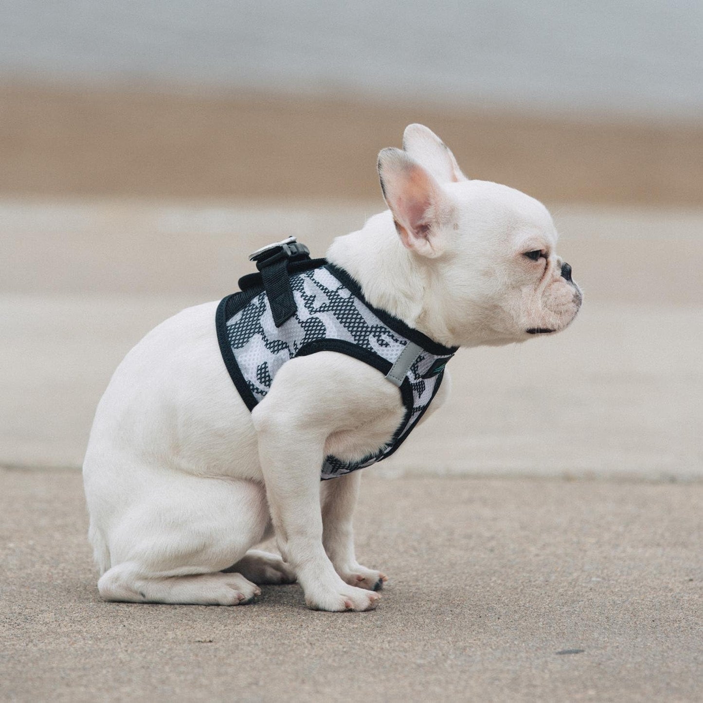 American River Step in Mesh Ultra Choke Free Dog Harness Safety Reflective Strips Camouflage Print Collection - Gray Camo