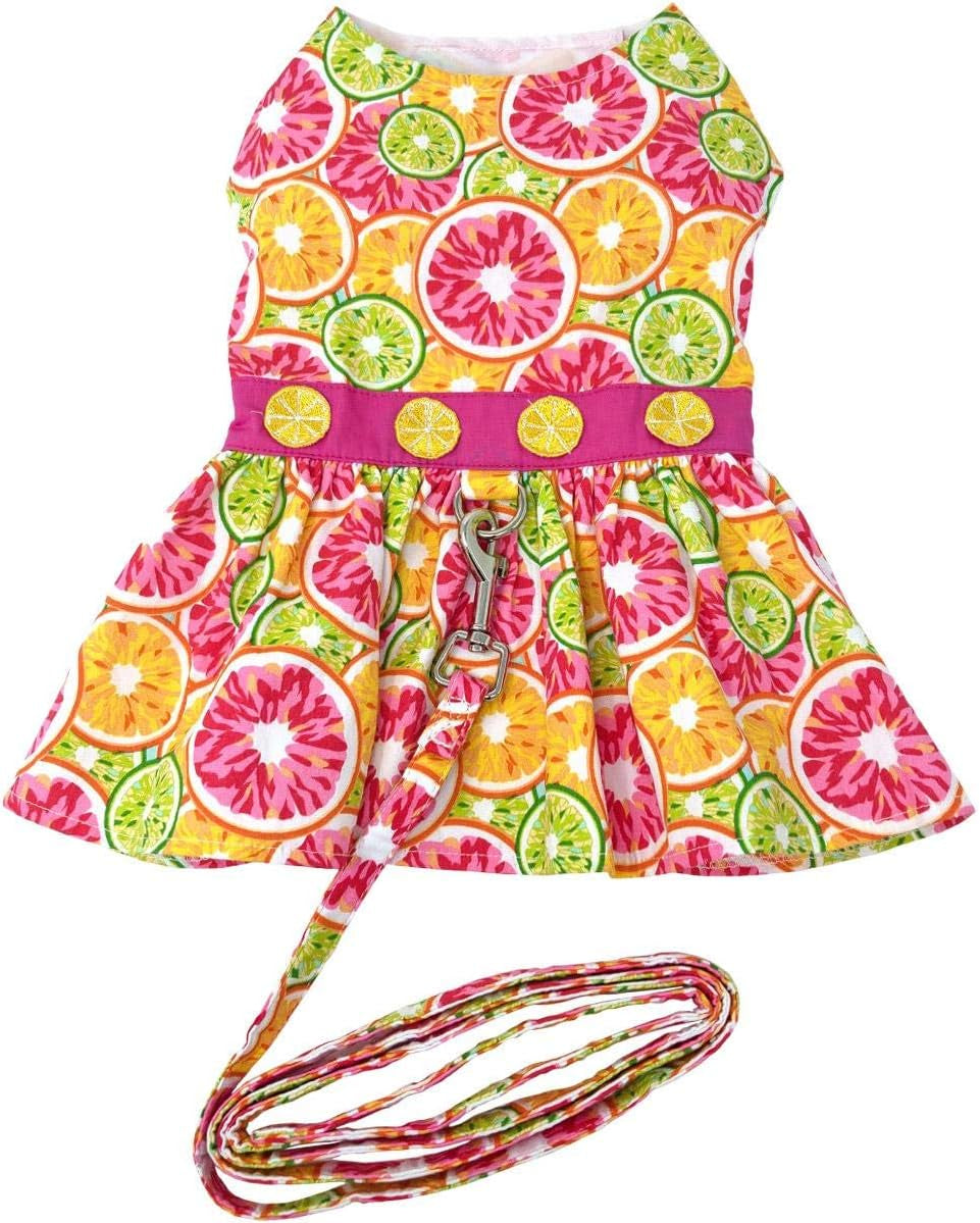 Citrus Slice Dog Dress with Matching Leash