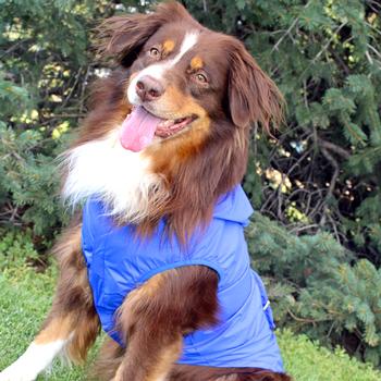 Packable Dog Raincoat