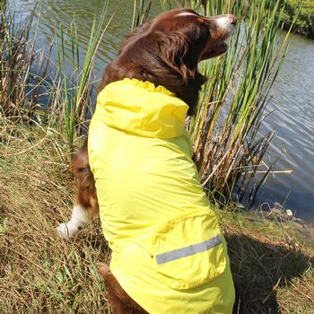Packable Dog Raincoat