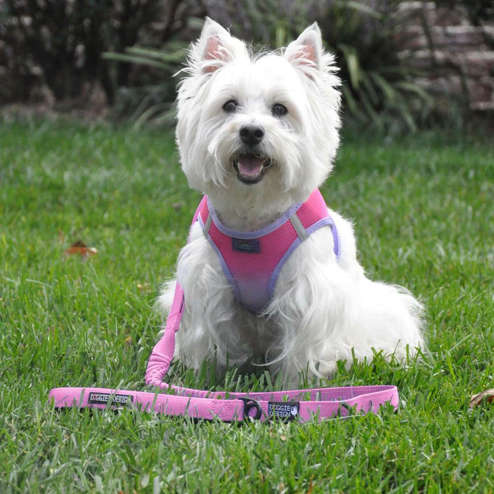 Soft Pull Traffic Dog Leash Doggie Design Purple