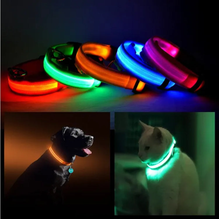 LED Dog Collar Rechargeable – Light Up Pet Collar for Night Safety Walking, Adjustable Waterproof Glow Collar for Small Medium Large Dogs