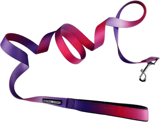 Ombre Leash (1 Inch Wide X 6 Feet Long, Raspberry Sundae)