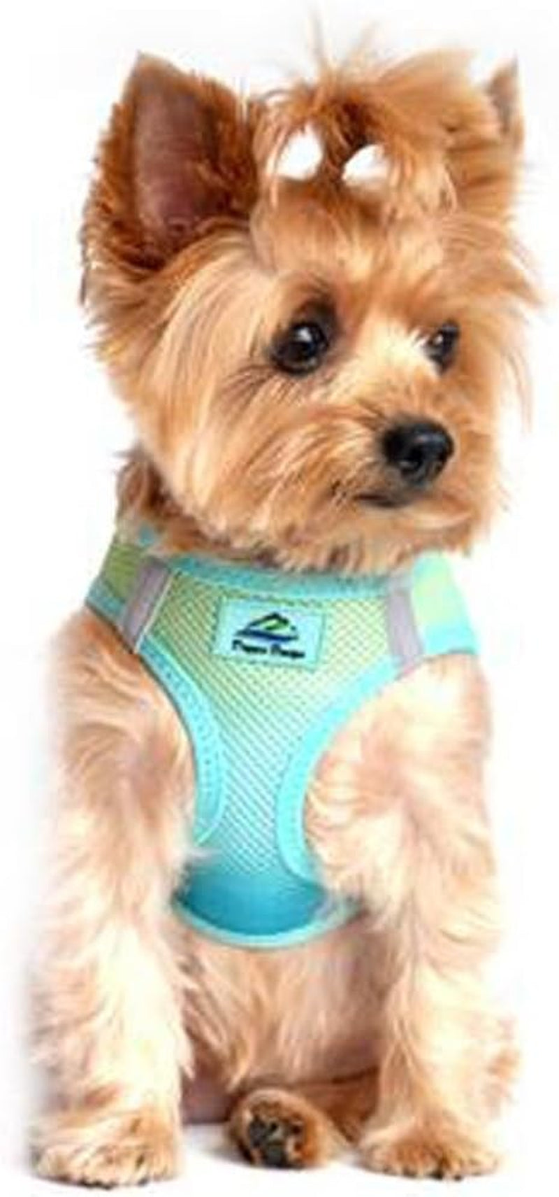 American River Dog Harness Ombre Collection - Raspberry Sundae 