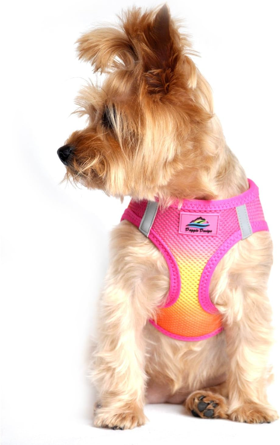 American River Dog Harness Ombre Collection - Raspberry Sundae 