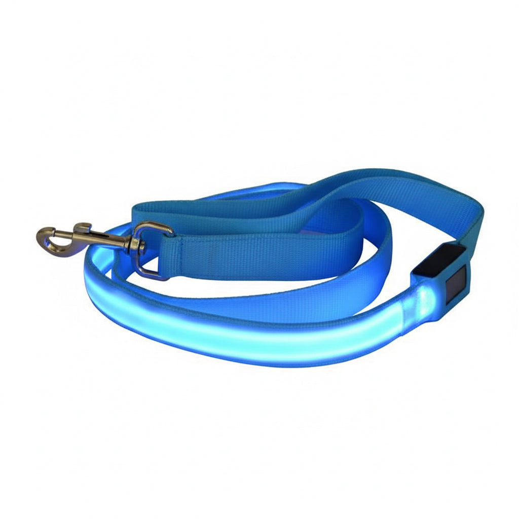 Blue LED dog leash on a white background