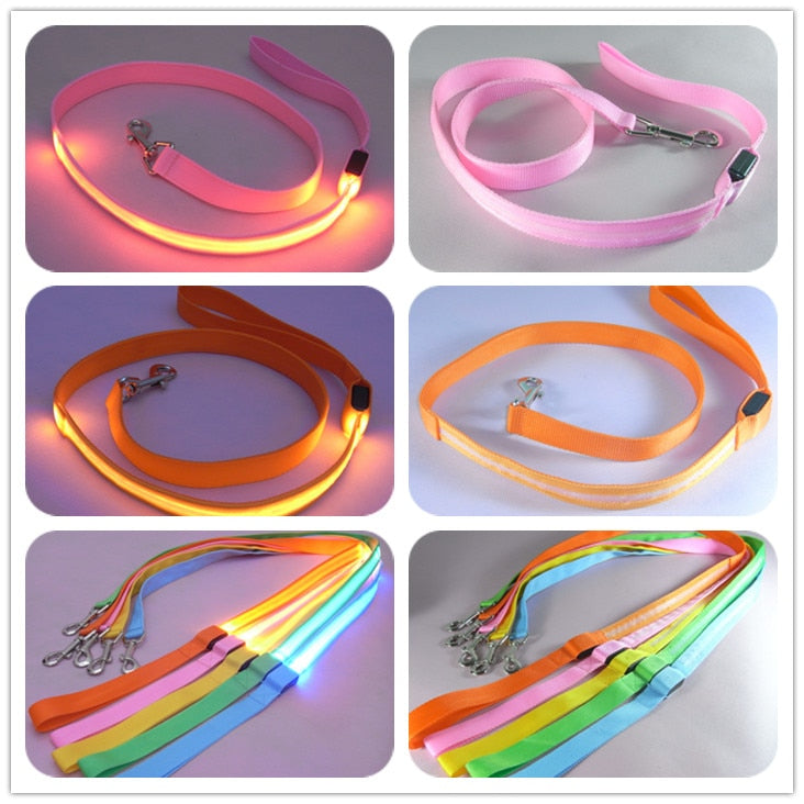 LED Dog Leash – Light Up Rechargeable Pet Leash for Night Walking, Adjustable & Durable
