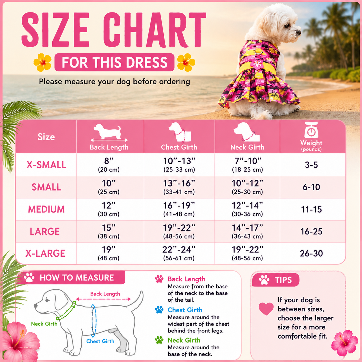Dog dress size chart with measurements and a dog wearing a dress on a beach background