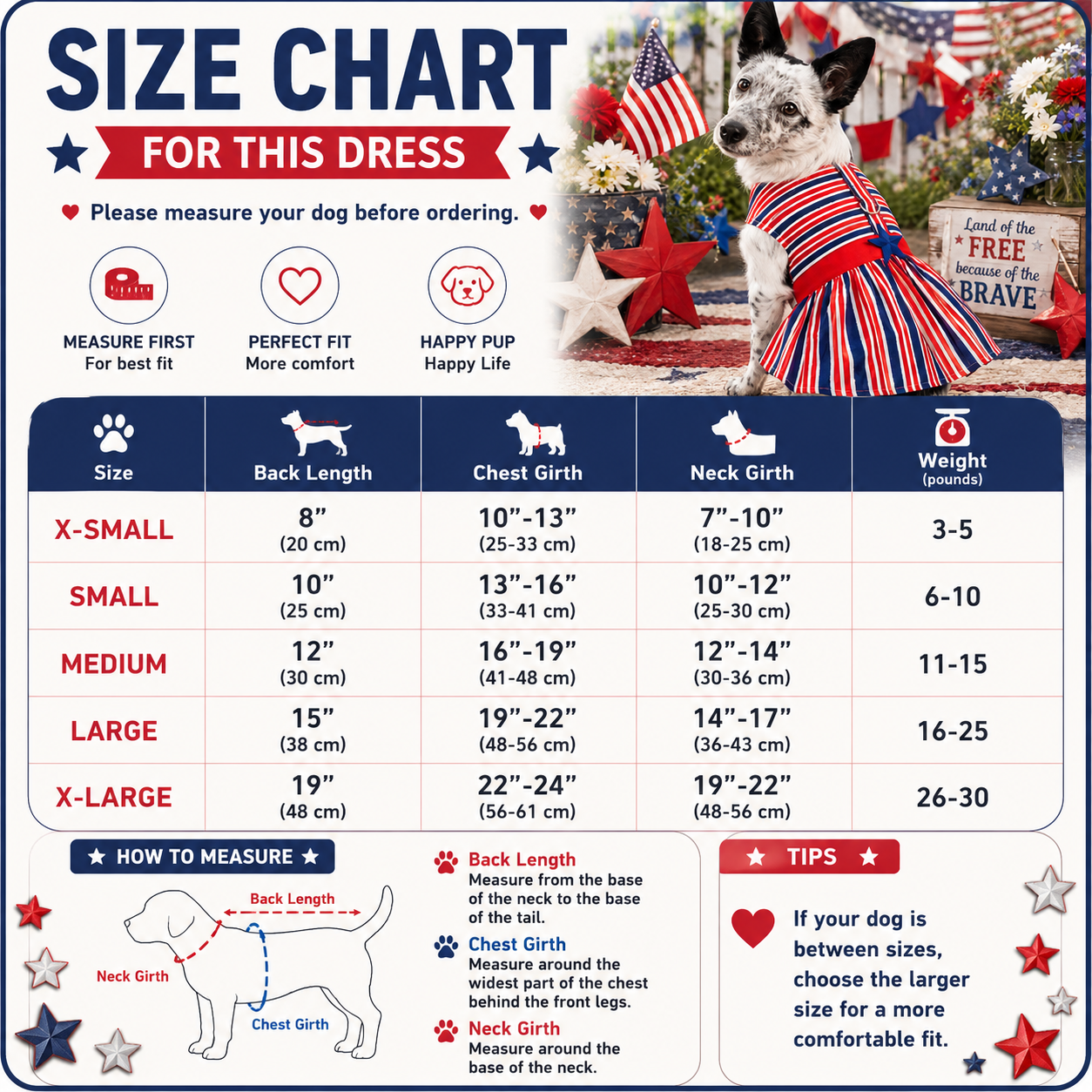 Patriotic Dog Dress with Matching Leash