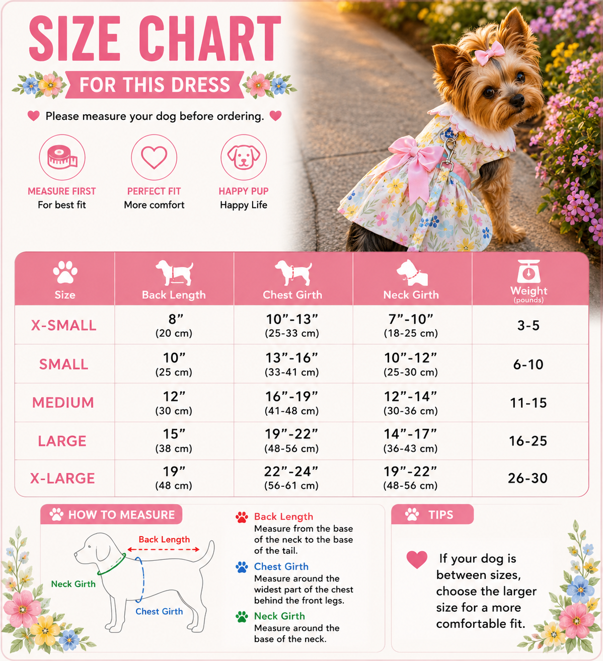 Dog dress size chart with a dog wearing a floral dress on a path with flowers.