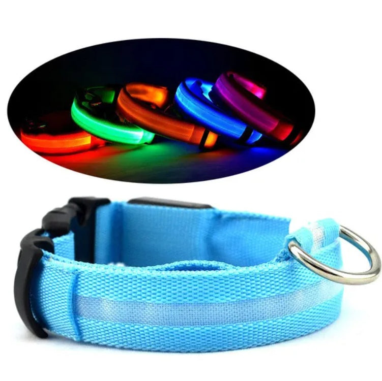 LED Dog Collar Rechargeable – Light Up Pet Collar for Night Safety Walking, Adjustable Waterproof Glow Collar for Small Medium Large Dogs