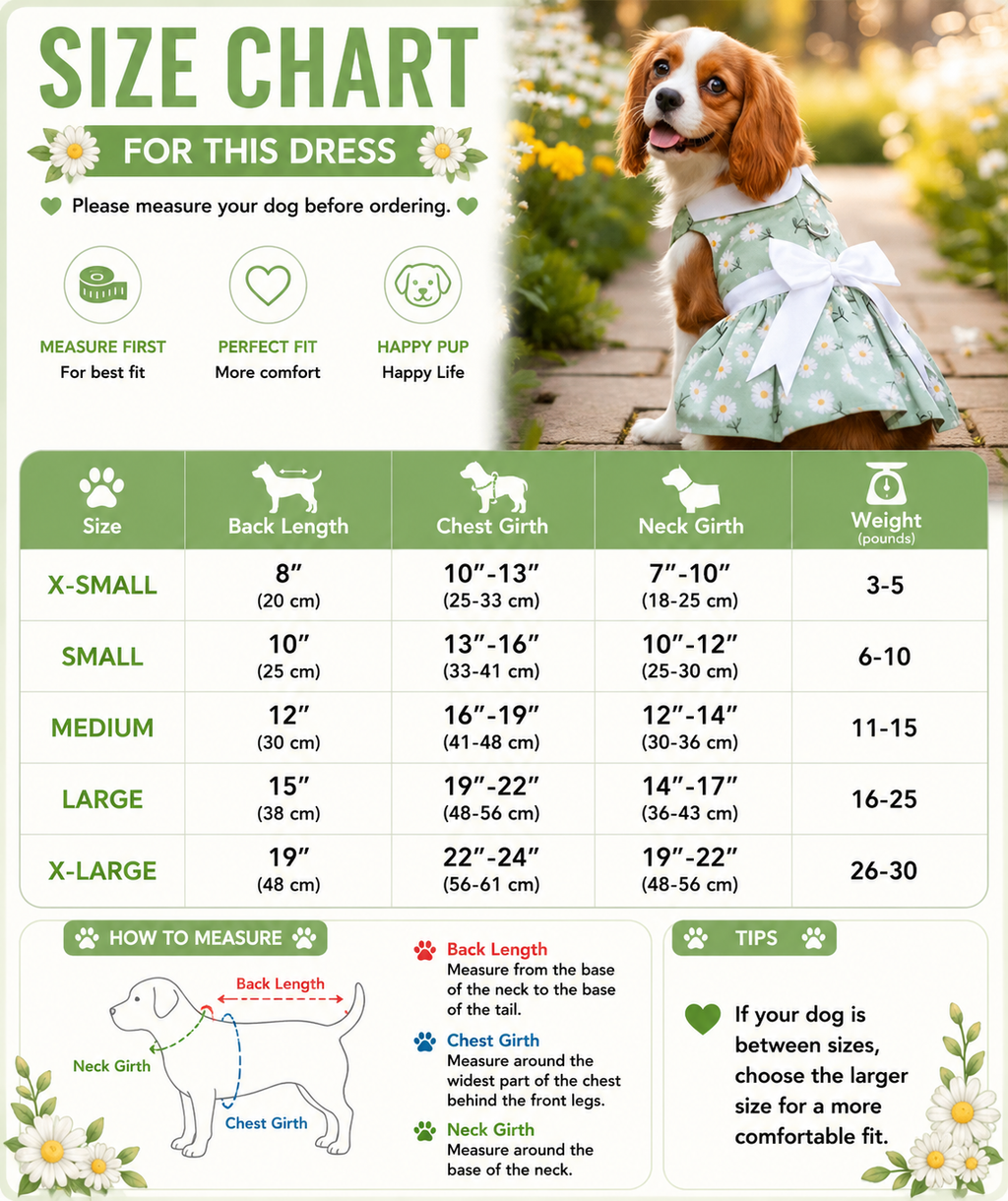 Mint Green Daisy Dog Dress with Matching Leash