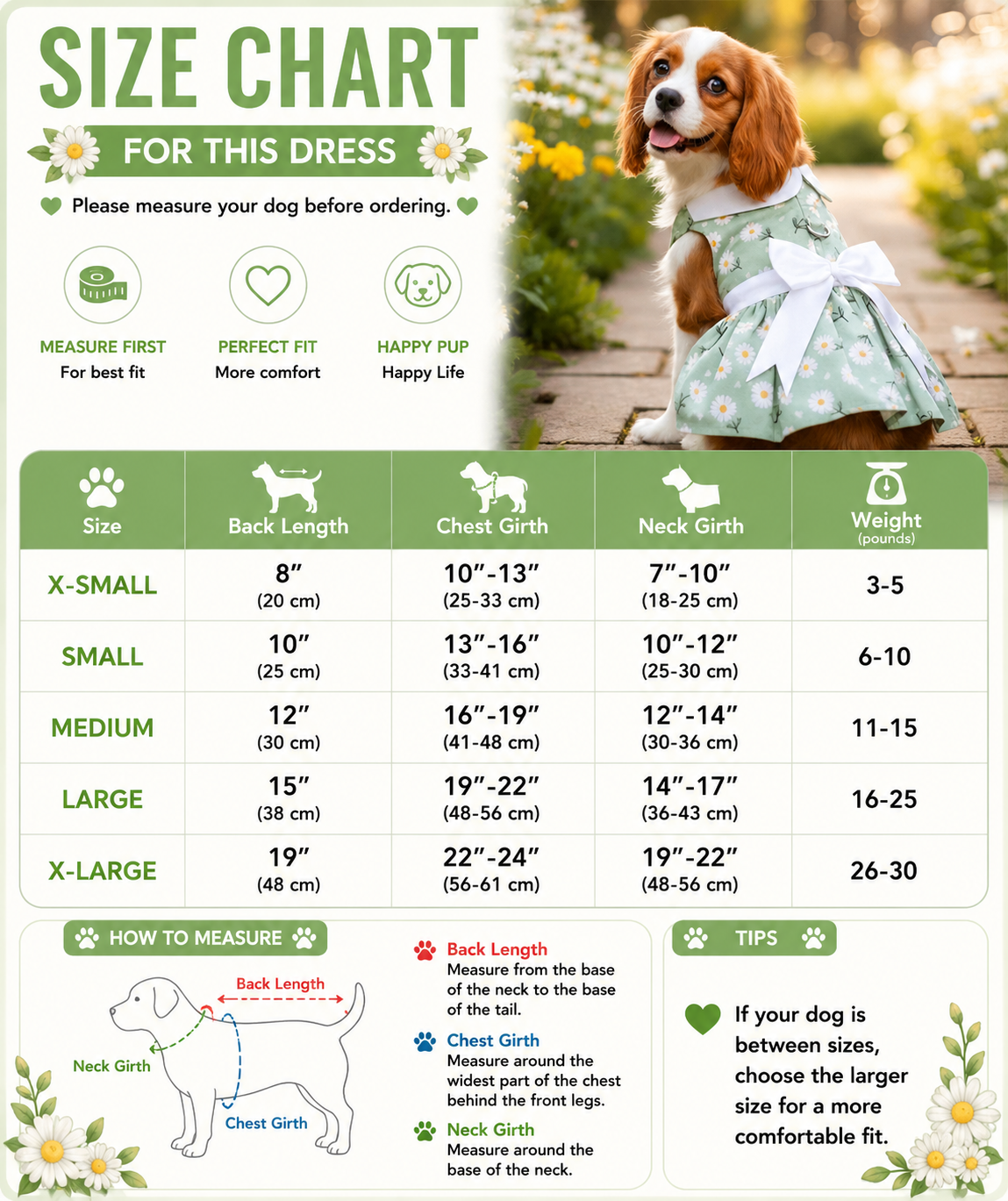 Mint Green Daisy Dog Dress with Matching Leash