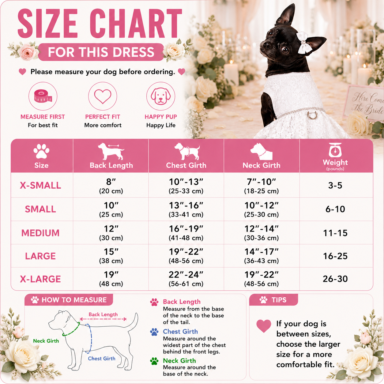 Dog dress size chart with measurements and a decorative background