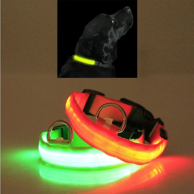 LED Dog Collar Rechargeable – Light Up Pet Collar for Night Safety Walking, Adjustable Waterproof Glow Collar for Small Medium Large Dogs