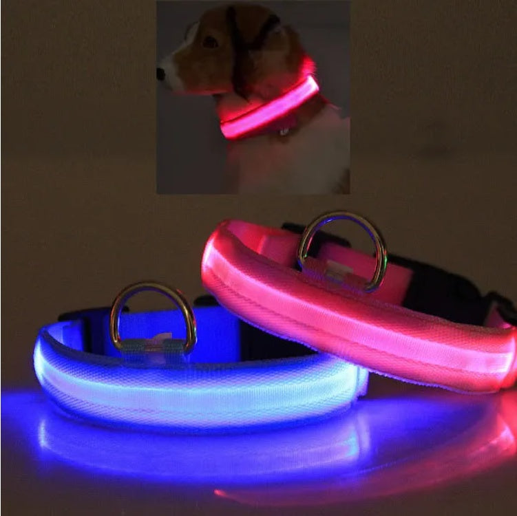 LED Dog Collar Rechargeable – Light Up Pet Collar for Night Safety Walking, Adjustable Waterproof Glow Collar for Small Medium Large Dogs