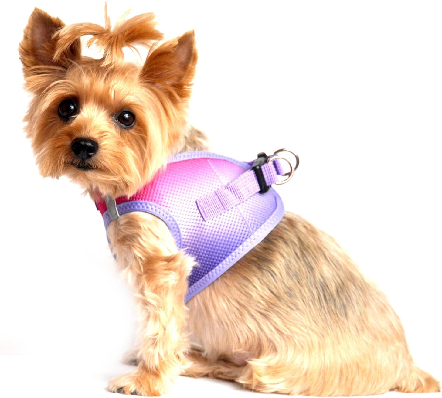 American River Dog Harness Ombre Collection - Raspberry Sundae 