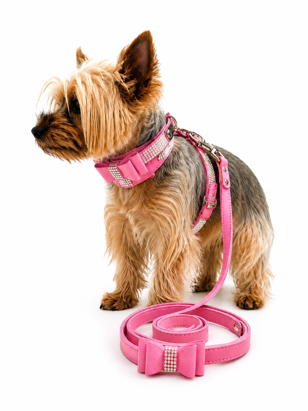 A small tan and gray dog wearing a pink harness and matching pink leash with a bow and rhinestone detail, photographed on a clean white background.