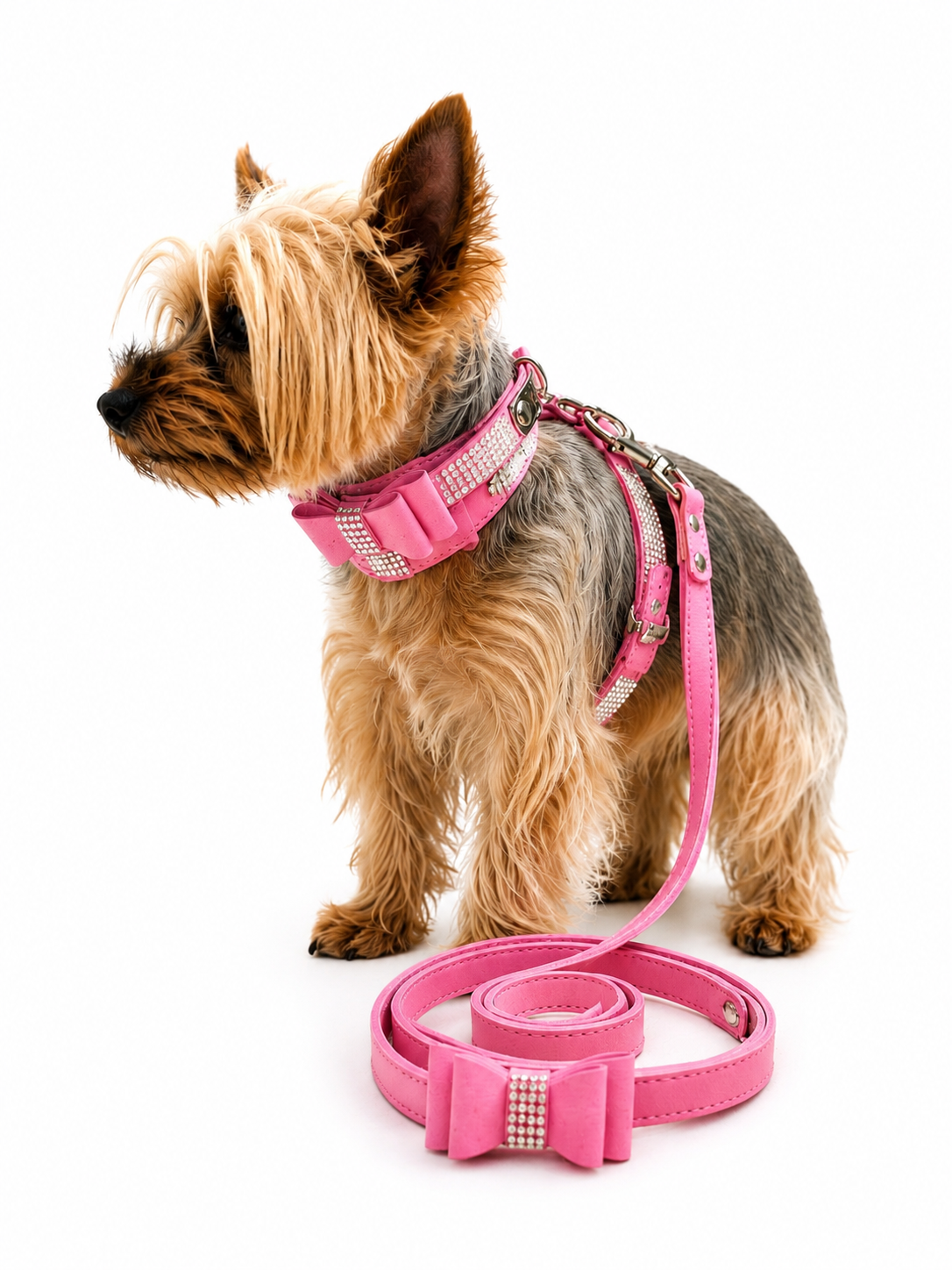 A small tan and gray dog wearing a pink harness and matching pink leash with a bow and rhinestone detail, photographed on a clean white background.