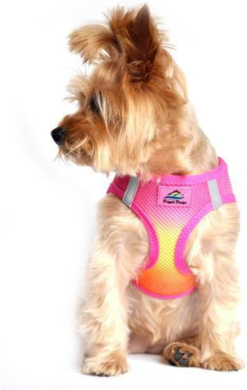 American River Dog Harness Ombre Collection - Raspberry Sundae 