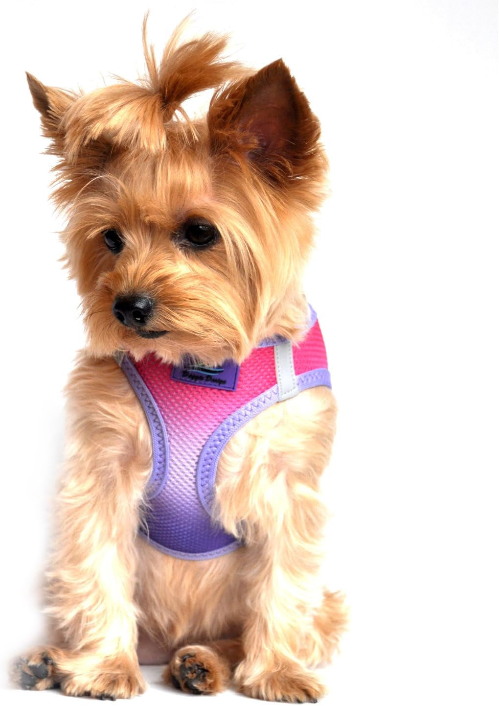 American River Dog Harness Ombre Collection - Raspberry Sundae 