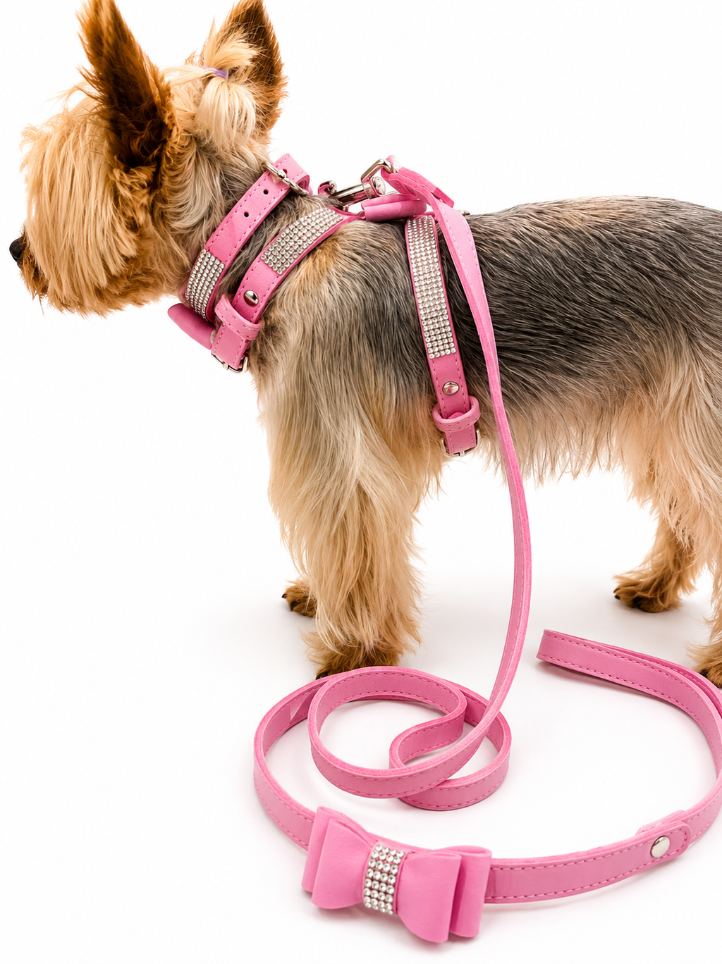 A small dog wearing a pink harness and matching leash with rhinestone accents, photographed on a clean white background.