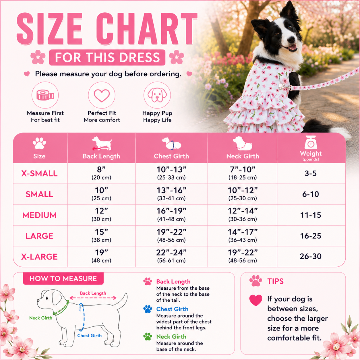 Spring Wildflower Dog Dress with Matching Leash