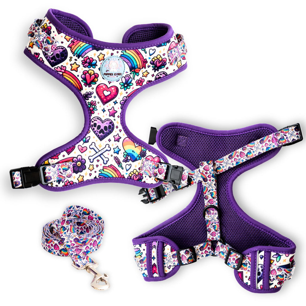 Dog harness and leash set with colorful pattern on a white background