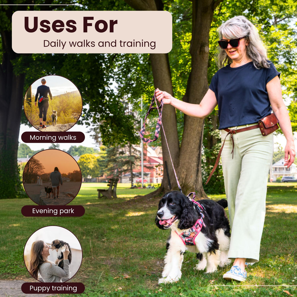 Woman walking a dog in a park with text on uses for daily walks and training.