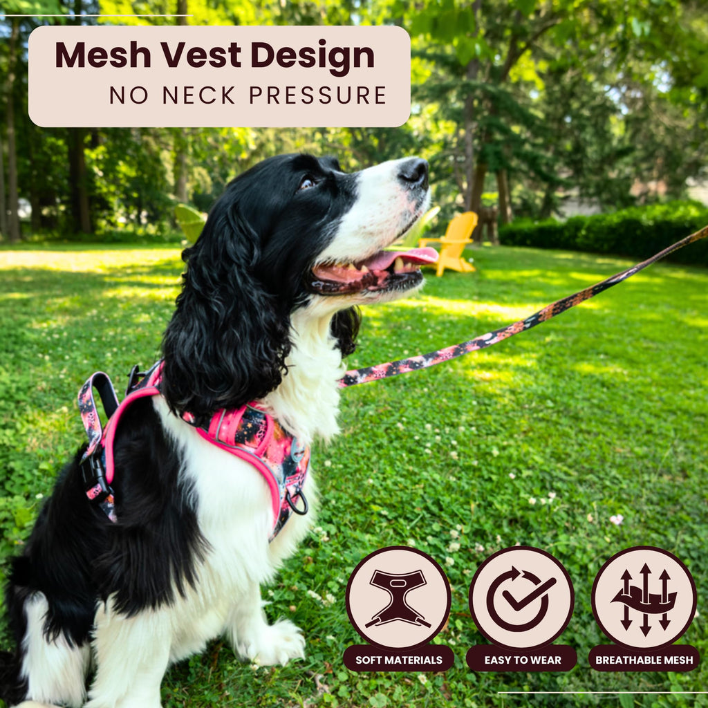 Dog wearing a pink mesh vest in a park setting with text about the vest's features.