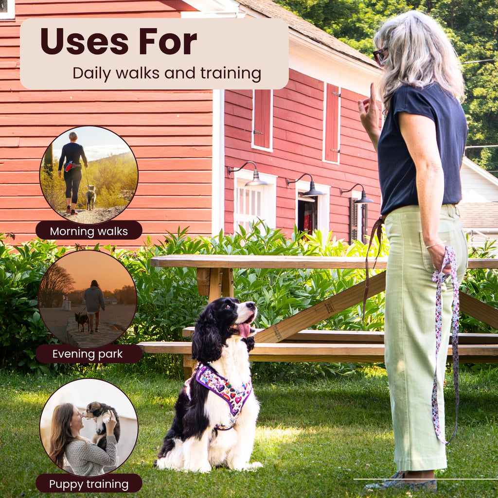Woman with a dog in a park, with text on uses for daily walks and training.