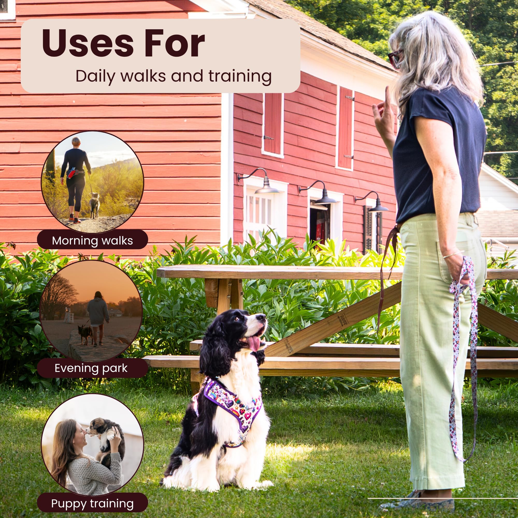 Woman with a dog in a park, with text on uses for daily walks and training.