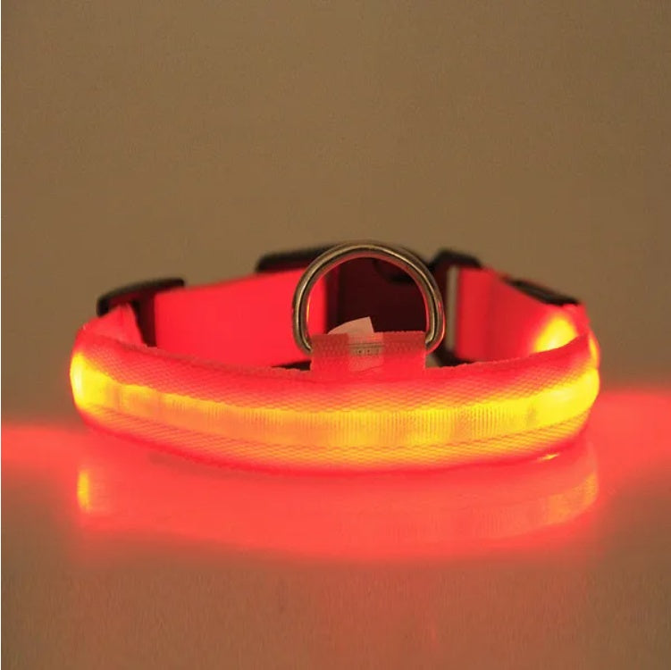 LED Dog Collar Rechargeable – Light Up Pet Collar for Night Safety Walking, Adjustable Waterproof Glow Collar for Small Medium Large Dogs
