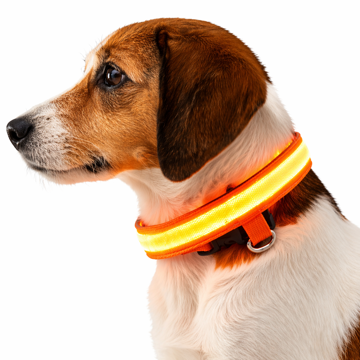 LED Dog Collar Rechargeable – Light Up Pet Collar for Night Safety Walking, Adjustable Waterproof Glow Collar for Small Medium Large Dogs