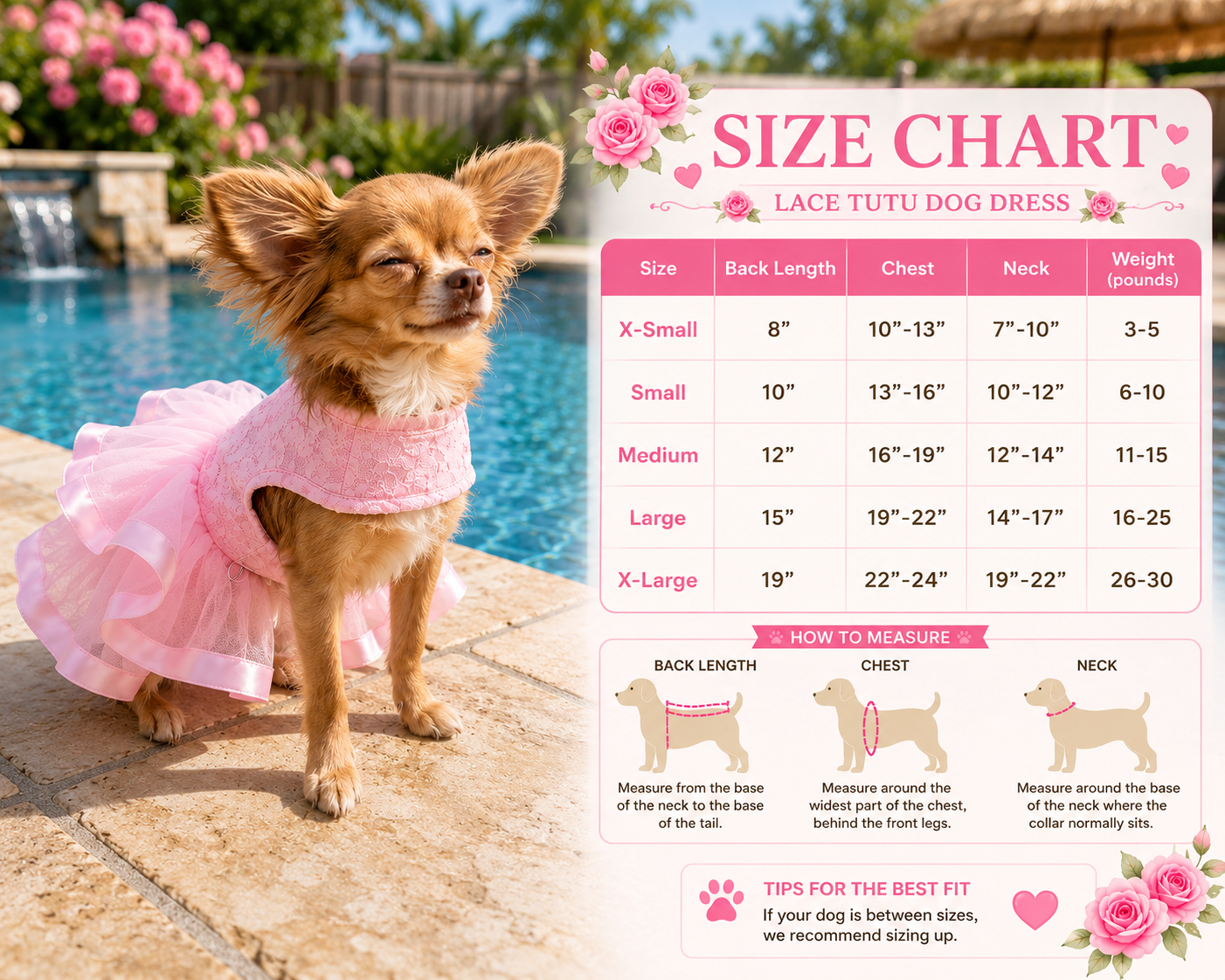 Pink Lace & Ruffles Dog Dress with Matching Leash