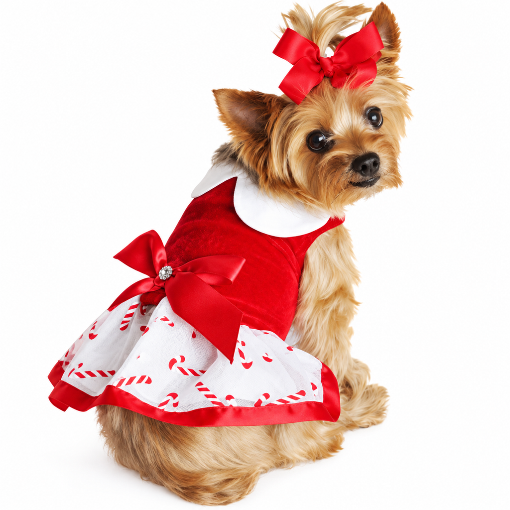 Candy Canes Holiday Dog Harness Dress with Matching Leash