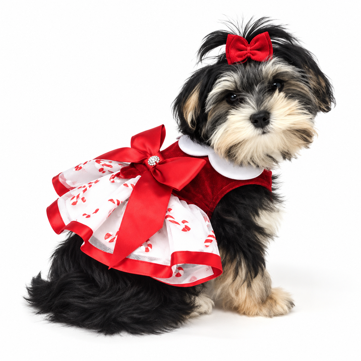 Candy Canes Holiday Dog Harness Dress with Matching Leash