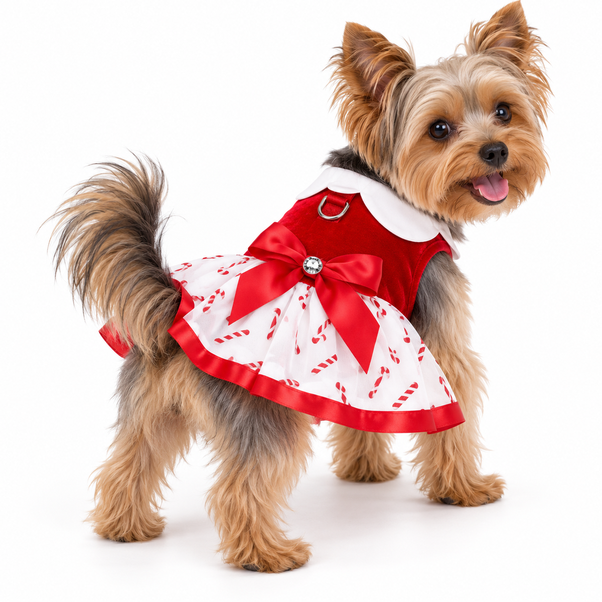 Candy Canes Holiday Dog Harness Dress with Matching Leash
